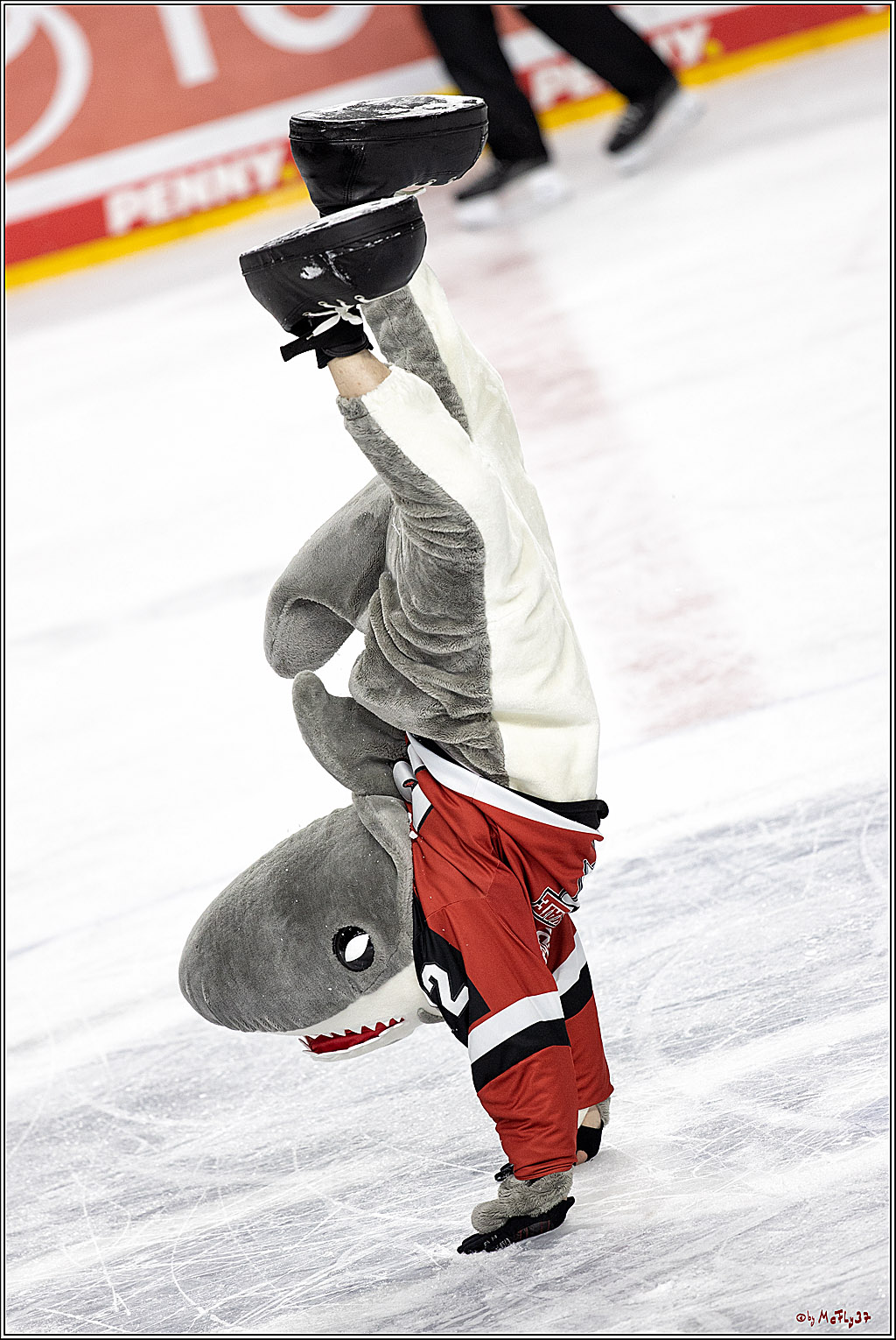 PENNY DEL;  Koelner Haie - Iserlohn Roosters; Koeln, 20.02.2022